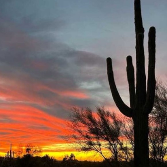 Meet your Posher, Theresa - Picture 1 of 1